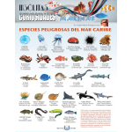 Póster Especies Peligrosas del Caribe